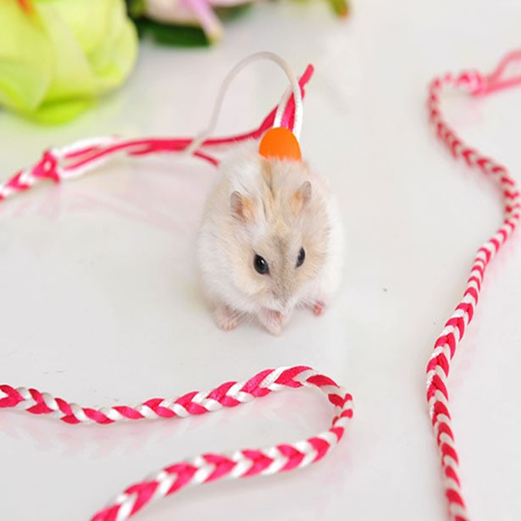 手工编织小宠两用牵引绳 宠物溜鼠绳遛弯松鼠牵引绳仓鼠用品 厂家