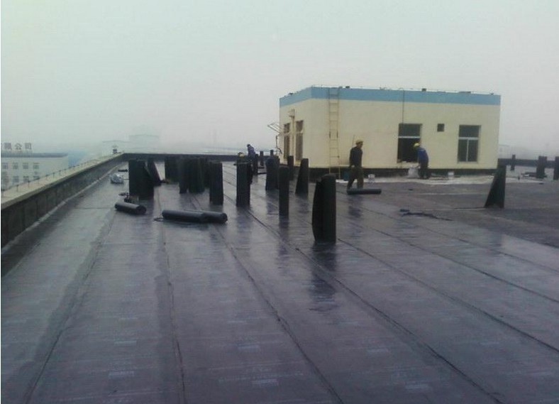 厂家供应各种厚度油毡纸 卷材石油沥青纸胎油毡 改性沥青油毛毡