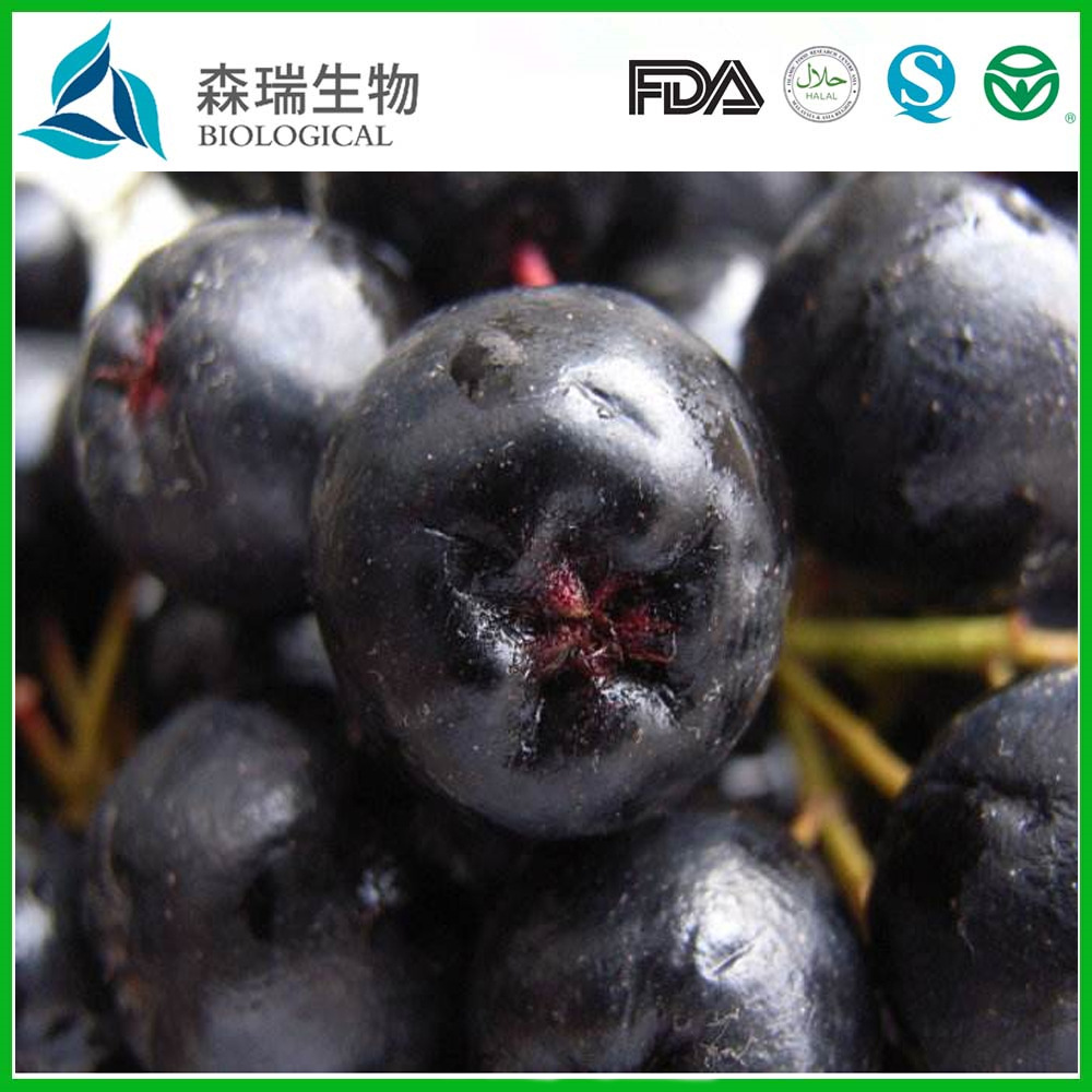 黑果花楸提取物 黑果腺肋花楸提取物 花青素,花色素 规格25%