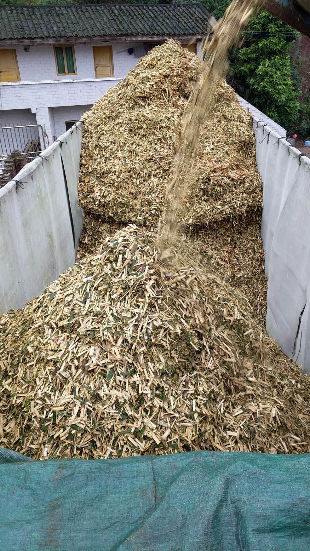 造纸用竹片角干,省内运输加运费1390/吨   造纸用竹片角干,省内运输