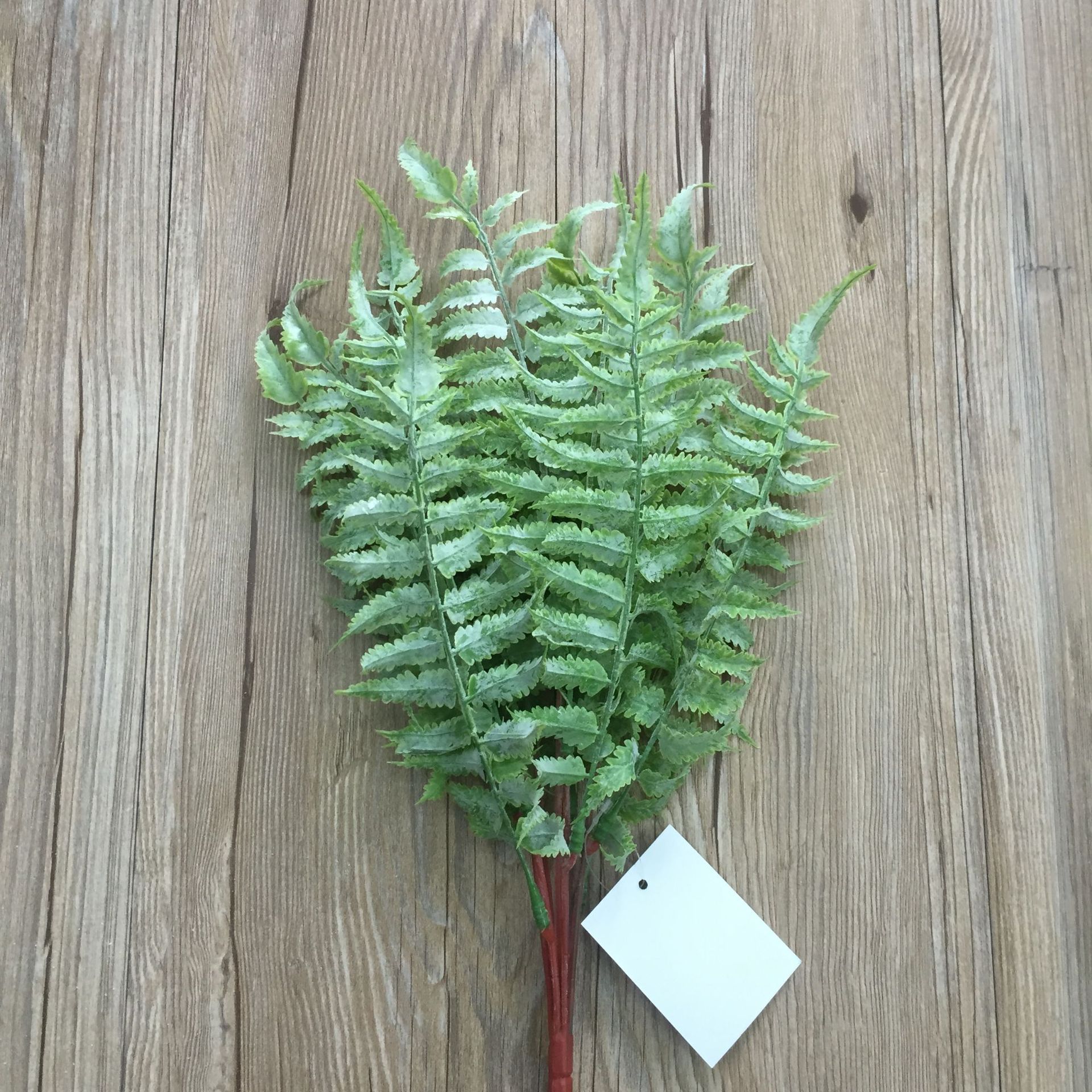 仿真花假花 7叉13叶手感排草 植物墙做装饰植物工程装饰花园艺花