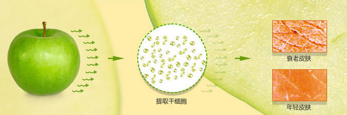 神奇的苹果干细胞,你造吗?