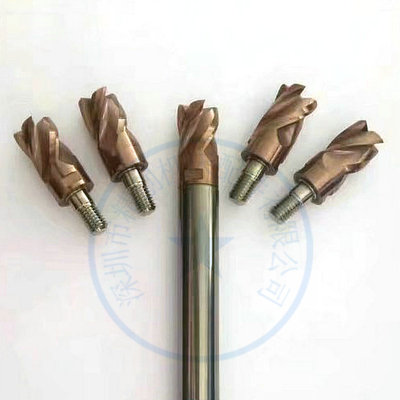 台湾锁牙式钨钢刀头钨钢螺纹式平铣刀 球头精铣刀 20*2r*4t*m10