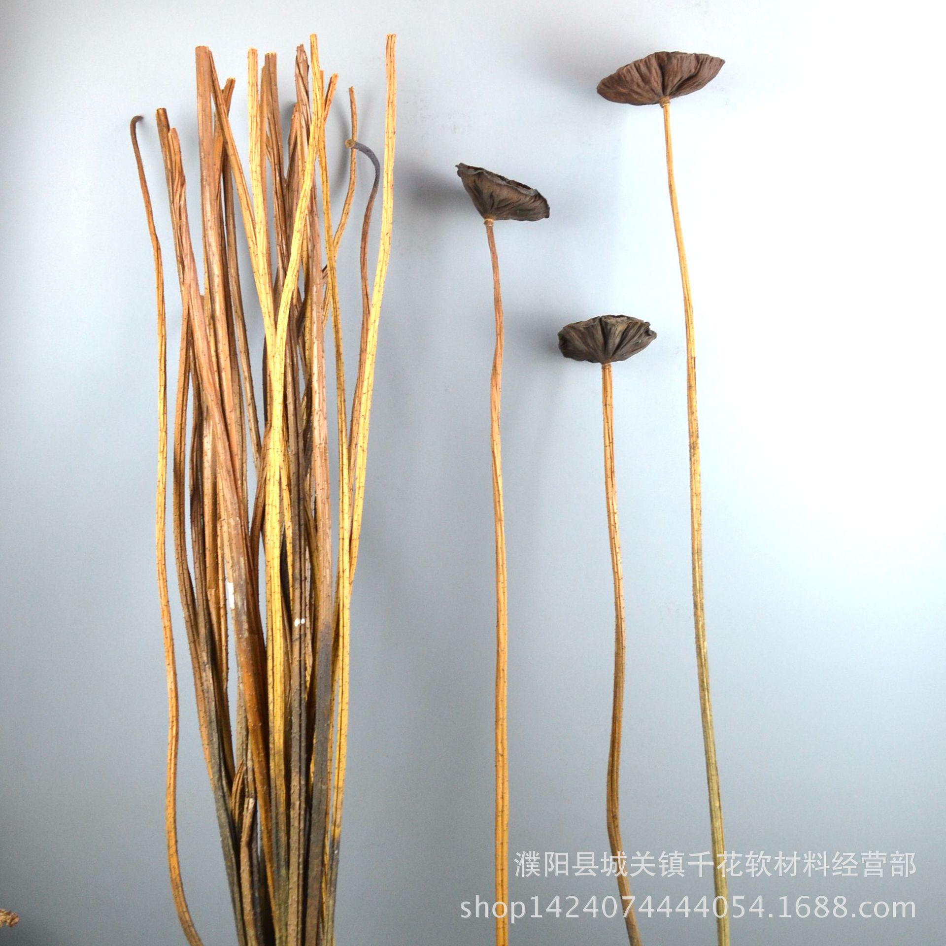 莲蓬荷杆干花杆子荷叶莲藕支持混和批发 荷花杆