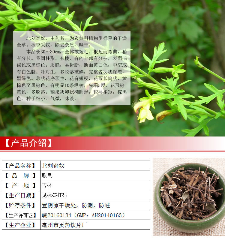 北刘寄奴 刘寄奴 灵茵草 gmp资质 承接诊所 药房 医院订单