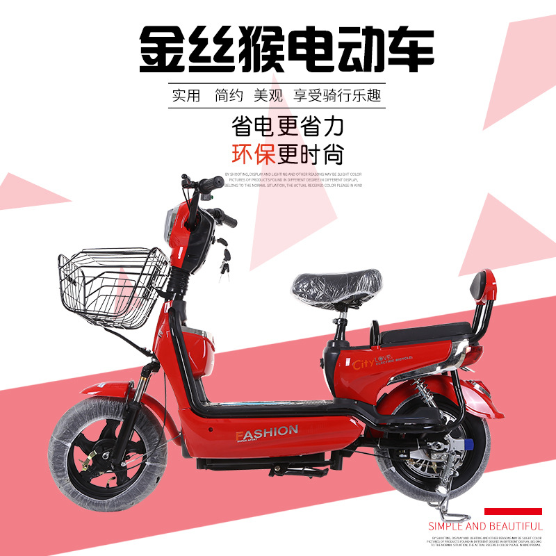 货源供应金丝猴款成人电动车 持久续航48v电压成人电动车电瓶车