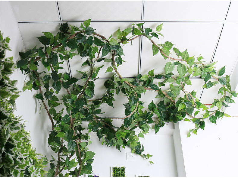 厂销高仿真铁丝葡萄藤绿萝海棠过胶叶藤蔓绿植装饰美陈藤条批发