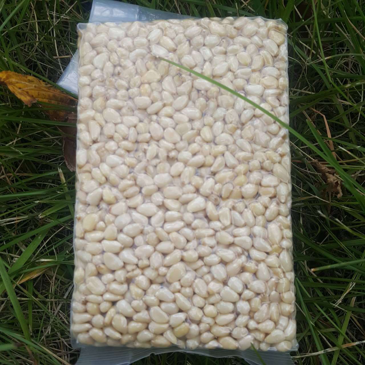 新货大兴安岭野生小马尾松仁原味未加工偃月饼馅料250克真空