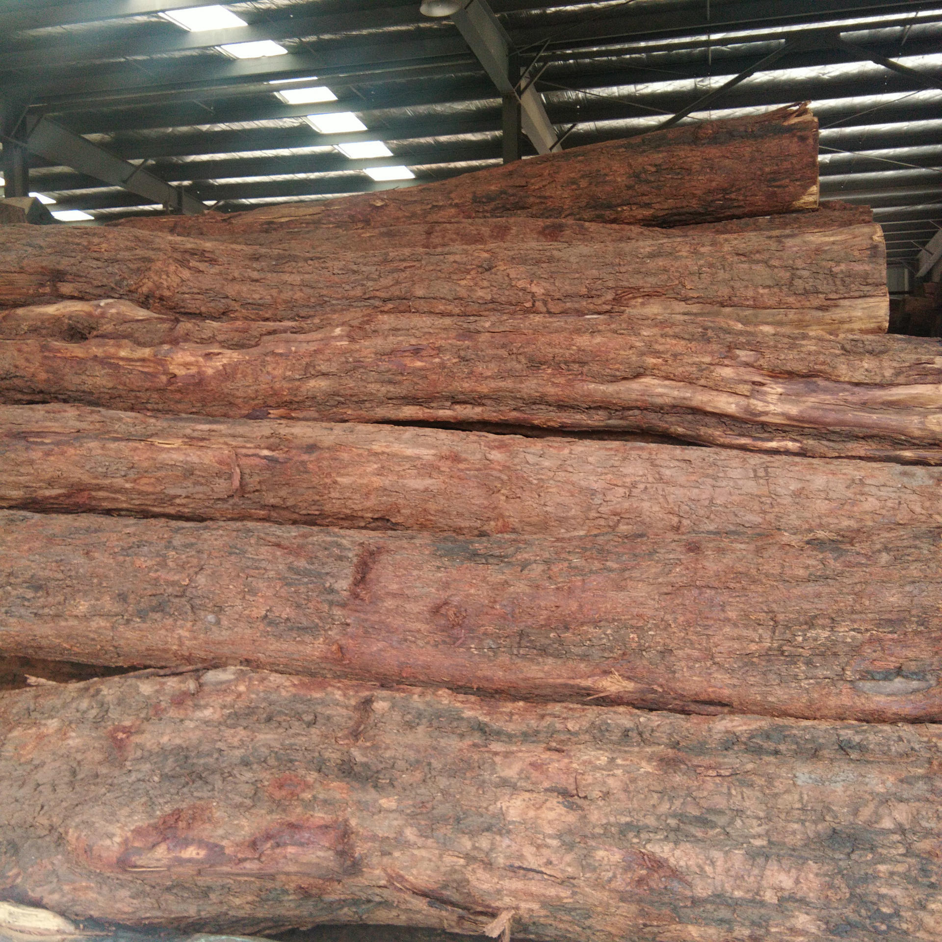 张家港原木 黄 花梨 非洲花梨木材 现货供应 价格优惠