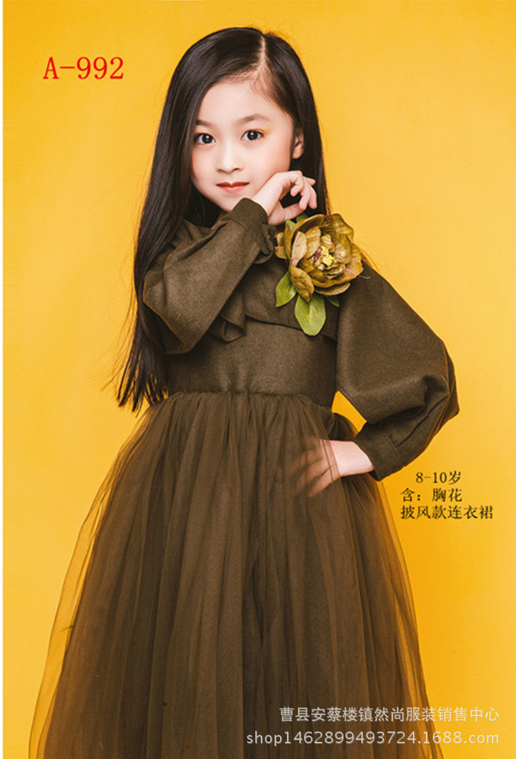 2017新款夏季儿童摄影服装时尚大童8-12岁女孩影楼拍照写真公主裙