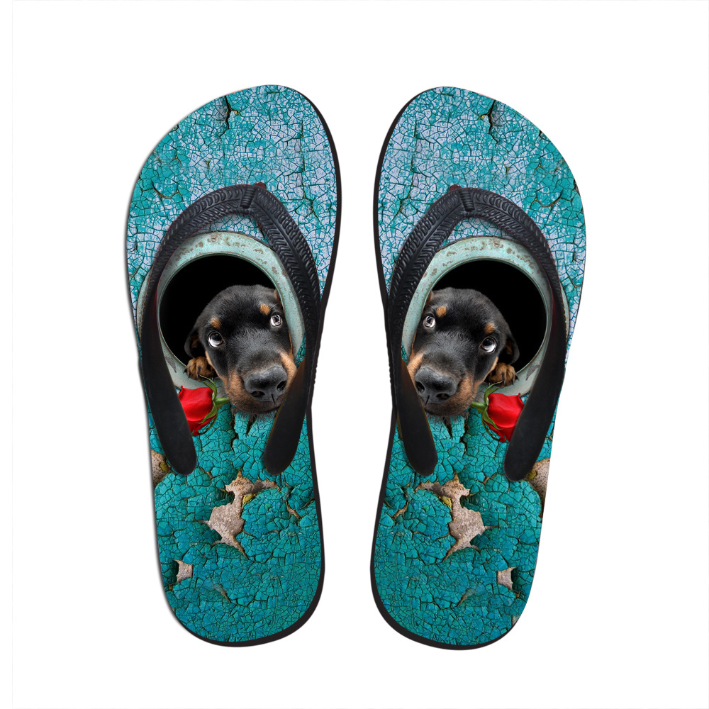 福建正域定制人字拖 破洞牛仔宠物猫狗平底拖鞋 情侣款沙滩人字拖