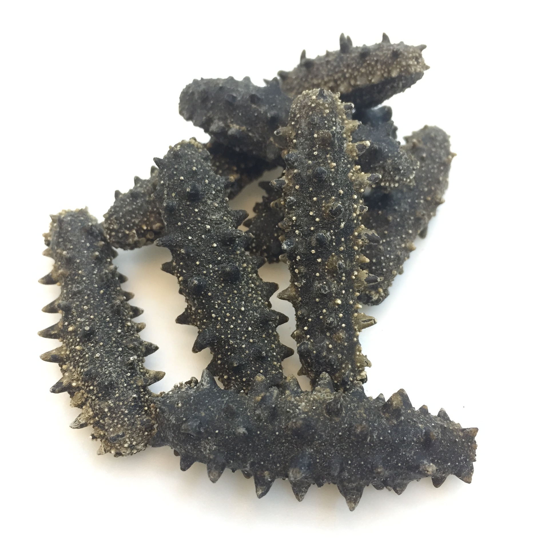 大连淡干海参 优质大连淡干辽刺参 精选大连参海参干货500克