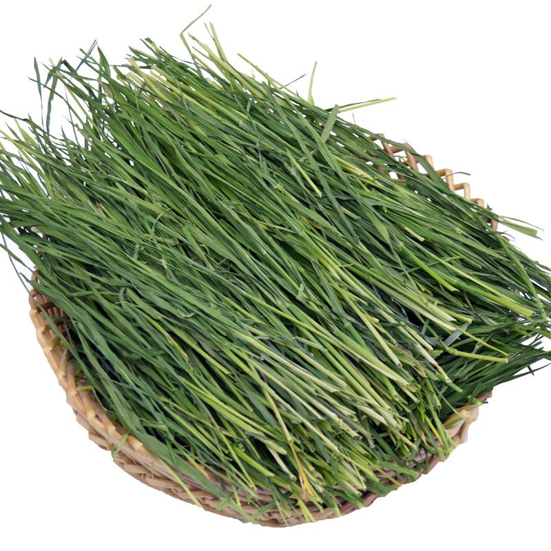 2020年烘干小麦草1000g 小麦苗 小麦草烘干牧草兔子龙猫荷兰猪草