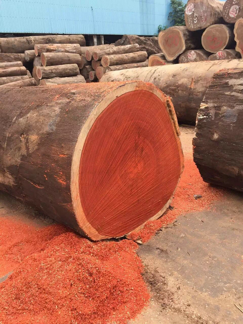 厂家经销 实用非洲进口红花梨原木 大径防腐红花梨板材原木