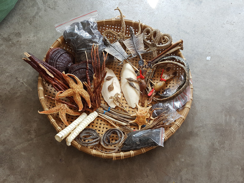 阿里巴巴批发北海海宝中药养生泡酒产品 齐全海产品1000g/包
