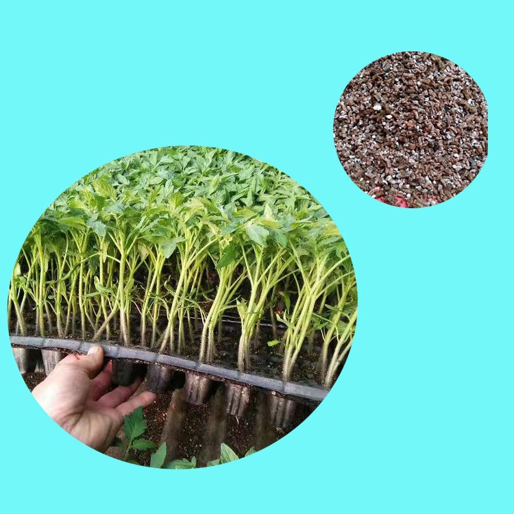 蛭石批发育苗花卉栽培基质园艺蛭石金黄色膨胀蛭石孵化蛭石