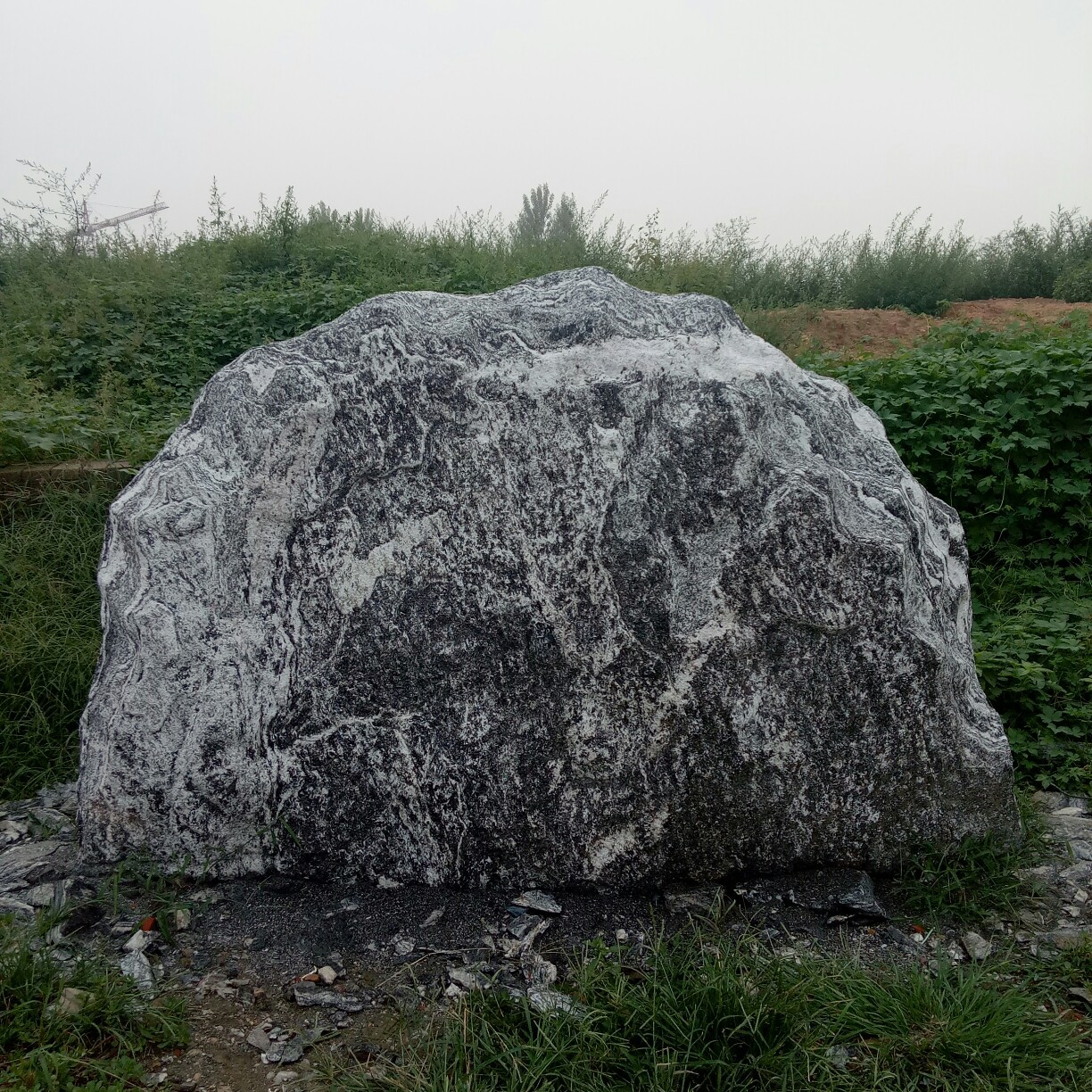 园林石观赏太湖鱼池假山石河滩景观造型石-报价-阿里巴巴