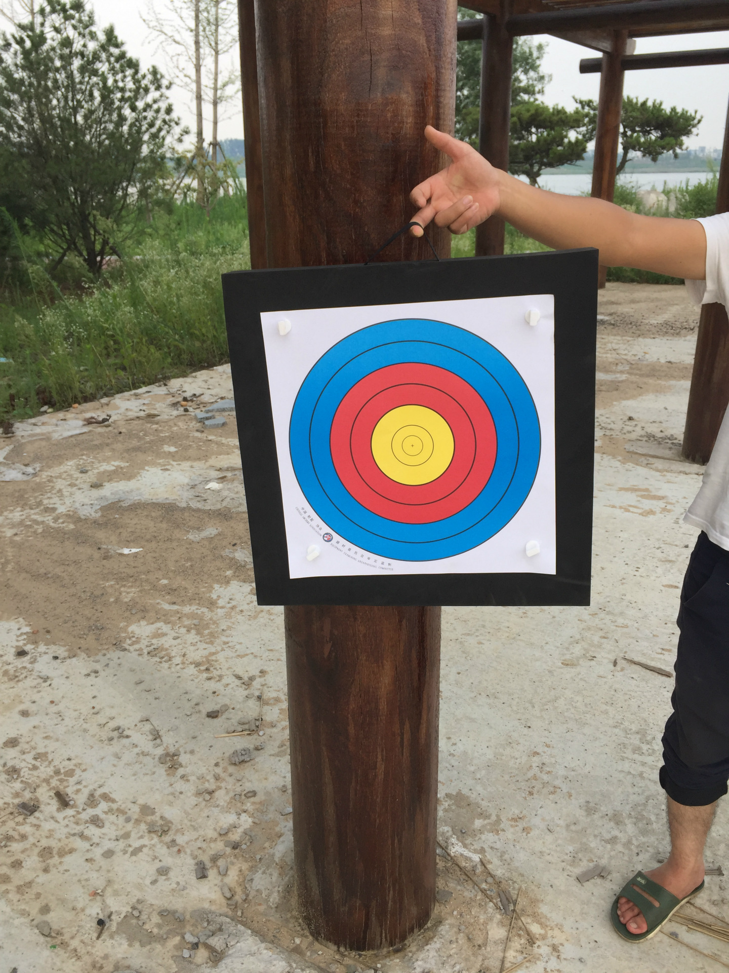 靶子弓箭 草靶eva箭靶子户外箭馆靶墙订制靶纸靶图靶钉