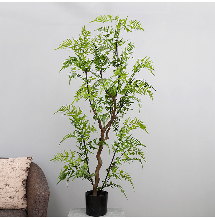 马尾蕨树室内盆栽 落地蕨类原始森系盆景 高档仿真小树盆景