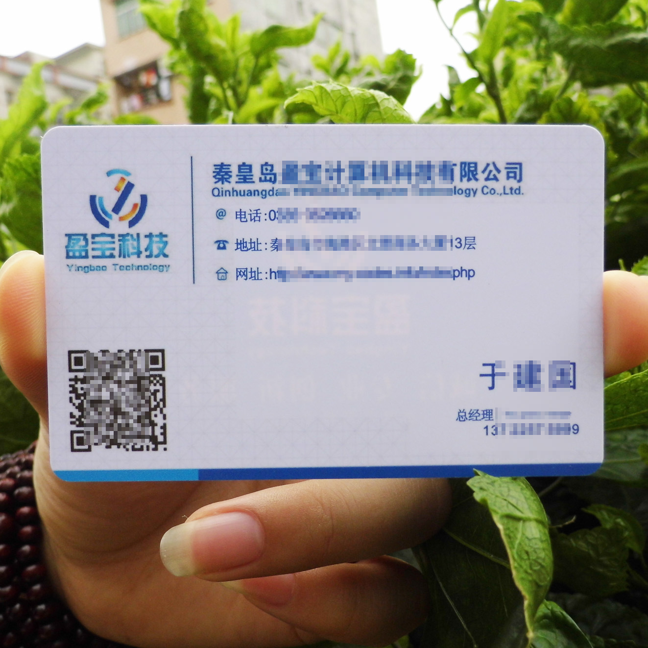 供应防水pvc名片订制印刷高档彩色名片pvc哑面名片包设计包邮