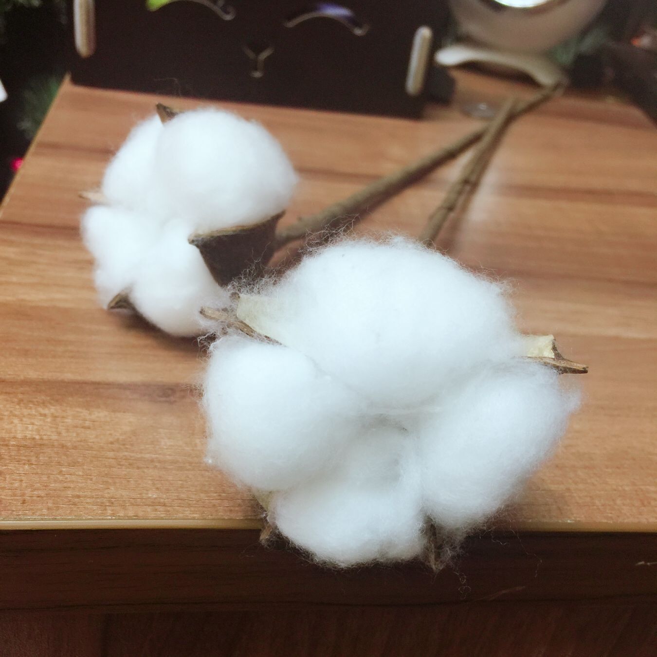 棉花干花 天然仿真花乡村家居装饰花 棉花花束万圣节装饰拍摄道具