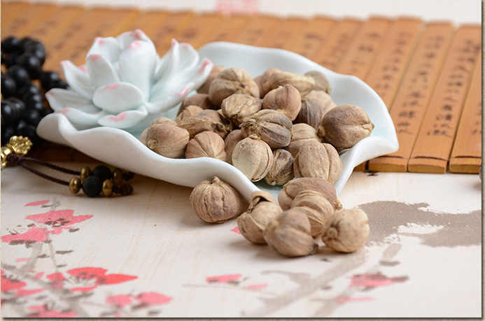 白豆蔻提取物 10:1 白蔻提取物 百叩提取物