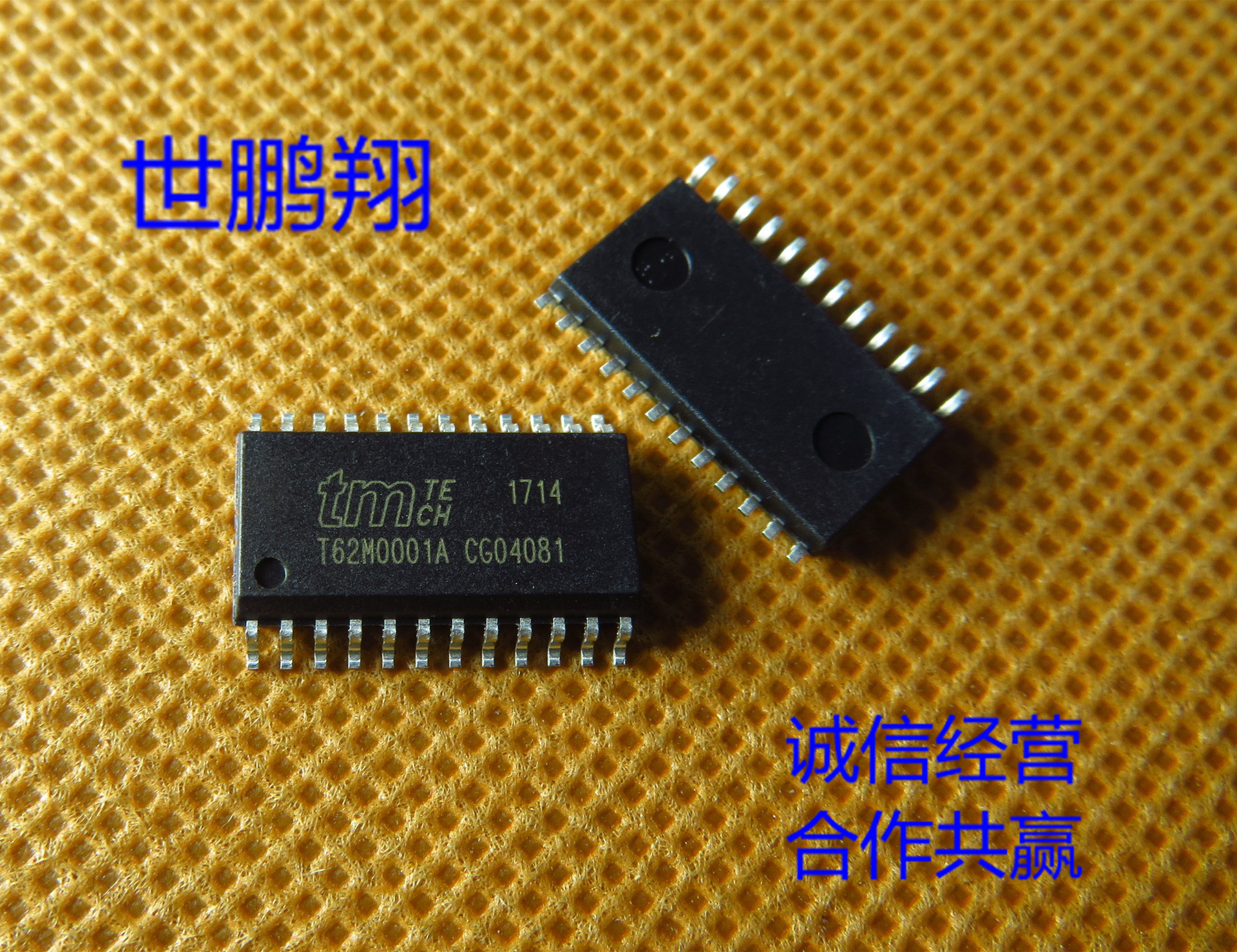 t62m0001a-dg 封装:sop-24 原装正品 欢迎联系洽谈