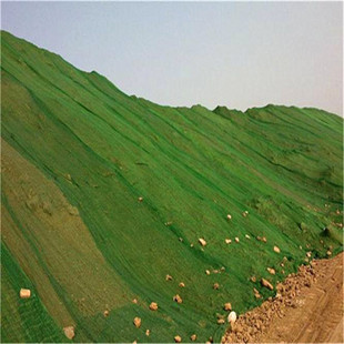 广州刘华 绿色6针盖土网 工地裸土防尘网 农用绿网盖土遮阳万用网