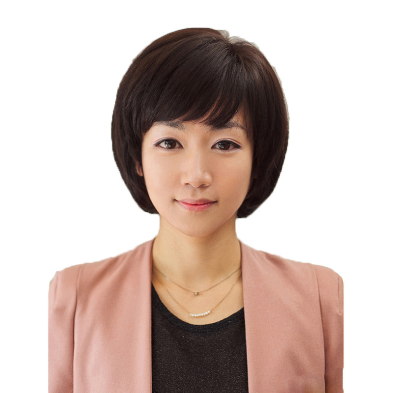 真发老年发女士假发套真人发丝可染可烫厂家直销一件代发