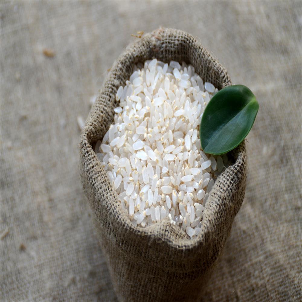 五常大米稻花香胚芽米500g2019年新米东北新米现磨可以发芽留胚米