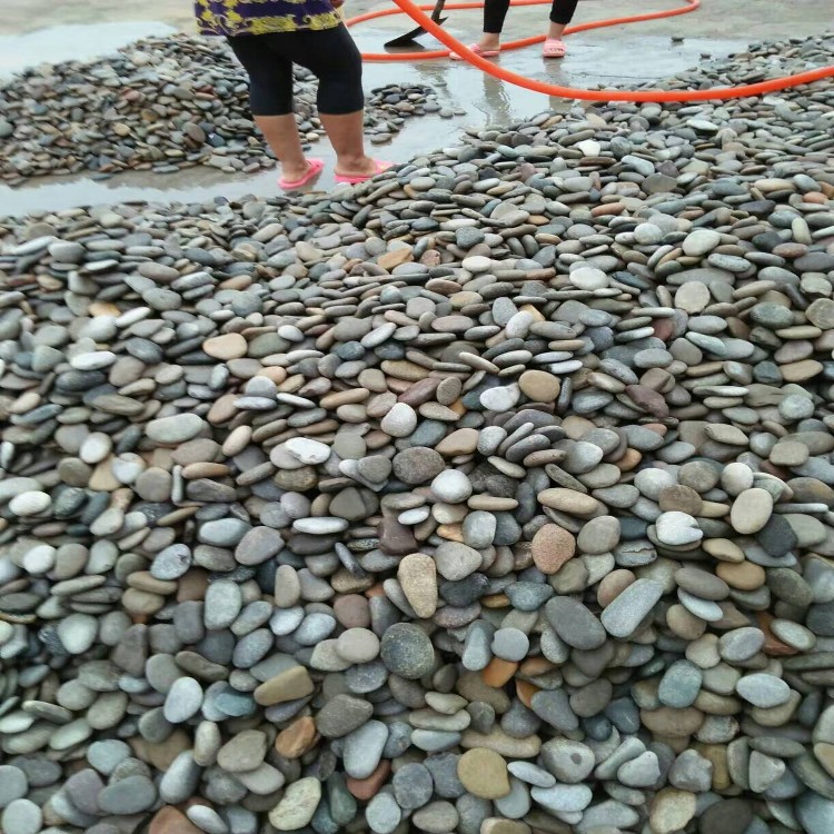 天然园林卵石砾石 黑色鹅卵石机制石 河道天然鹅卵石 举报