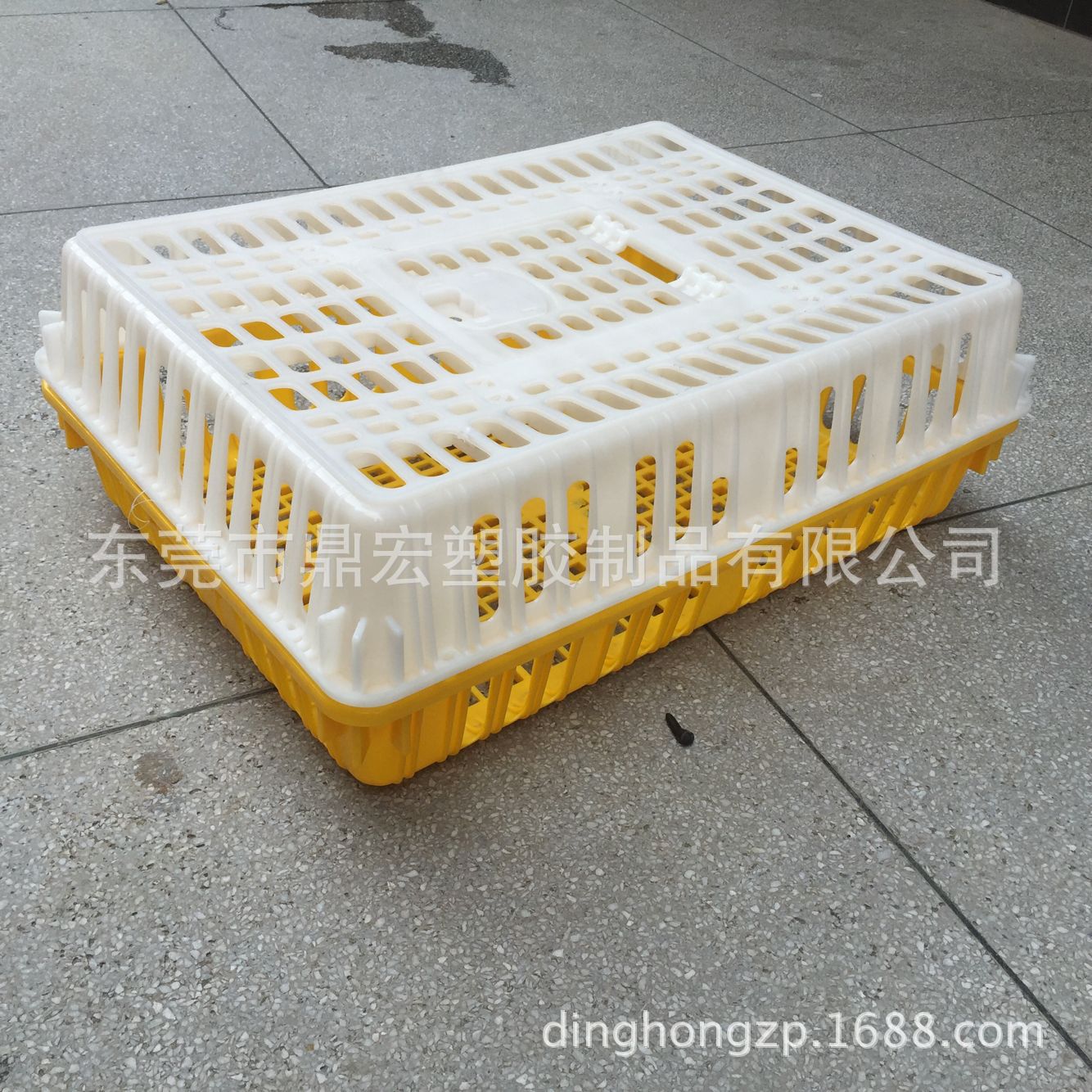 750*550*270mm塑料鸡笼 供应山东河南 河北成鸡运输鸡笼