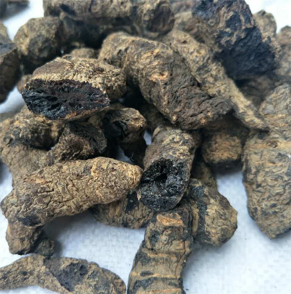 中药材 生地黄 生地碳 干地黄 熟地炭 量大从优