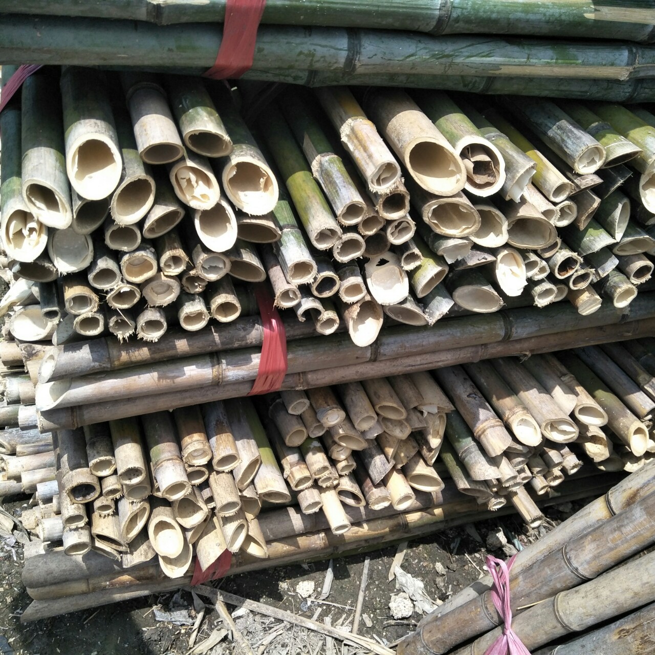 大量供应竹尾 竹竿 大棚菜架竹 树木支撑竹杆 园林绿化