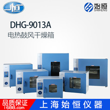上海一恒DHG-9013A电热鼓风干燥箱烘箱