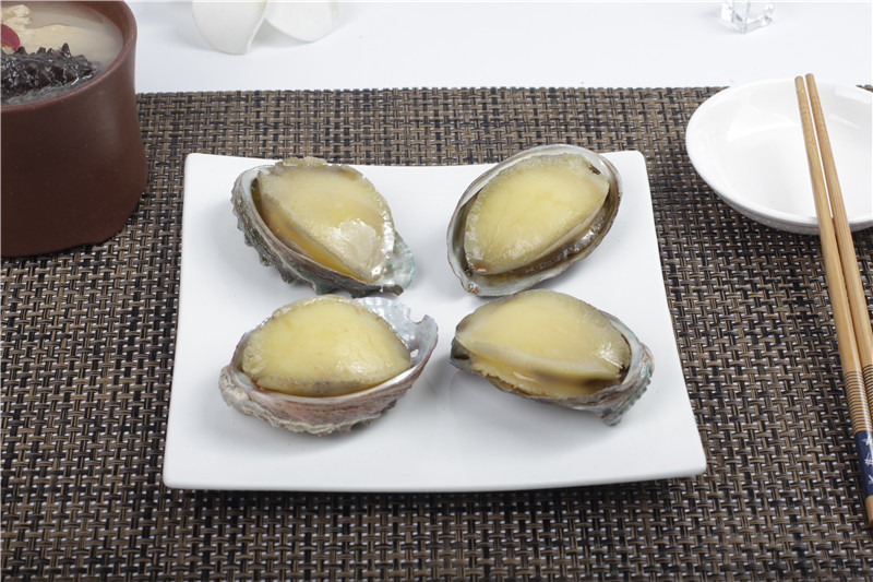 商品介绍 model food 产品名称:仿真鲍鱼模型