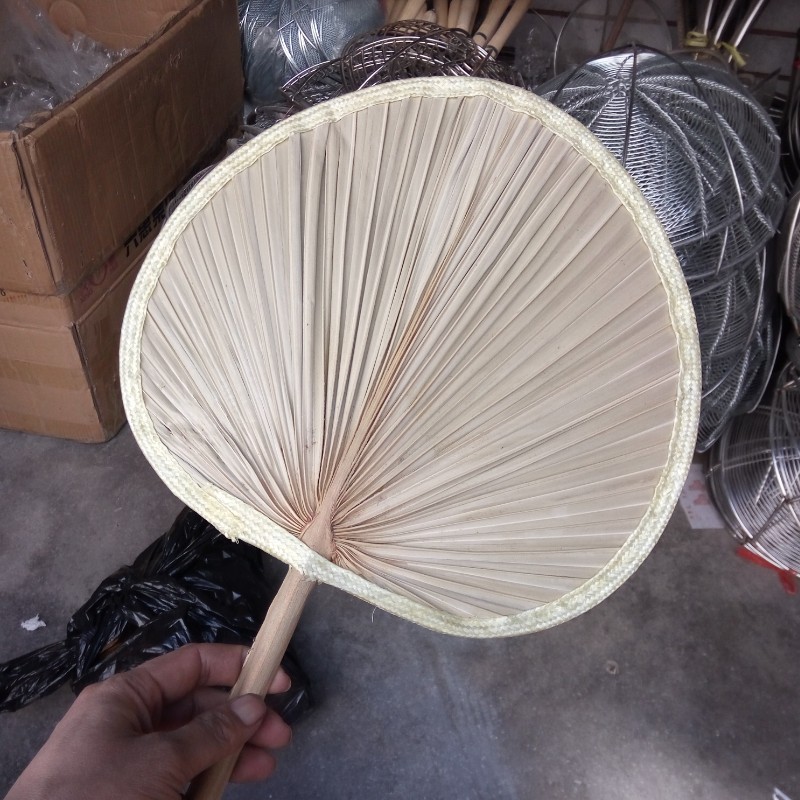 大蒲扇葵扇芭蕉扇子夏季家用植物扇家居日用小商品赶集百货地摊货