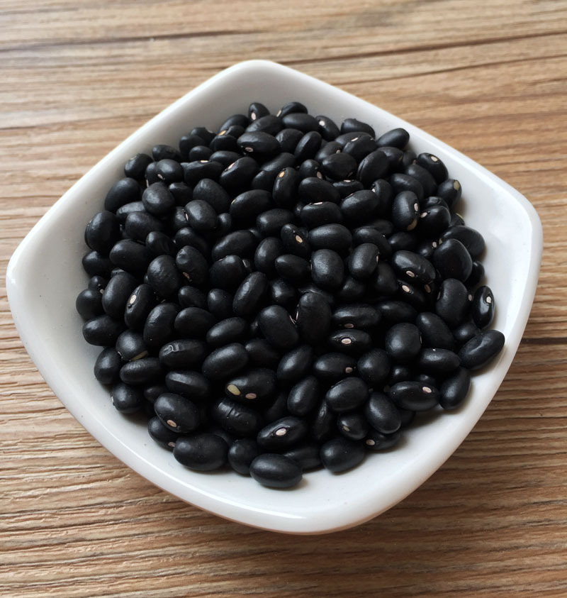 广州批发黑芸豆优质东北黑芸豆五谷杂粮黑芸豆黑眉豆芸豆一件代发