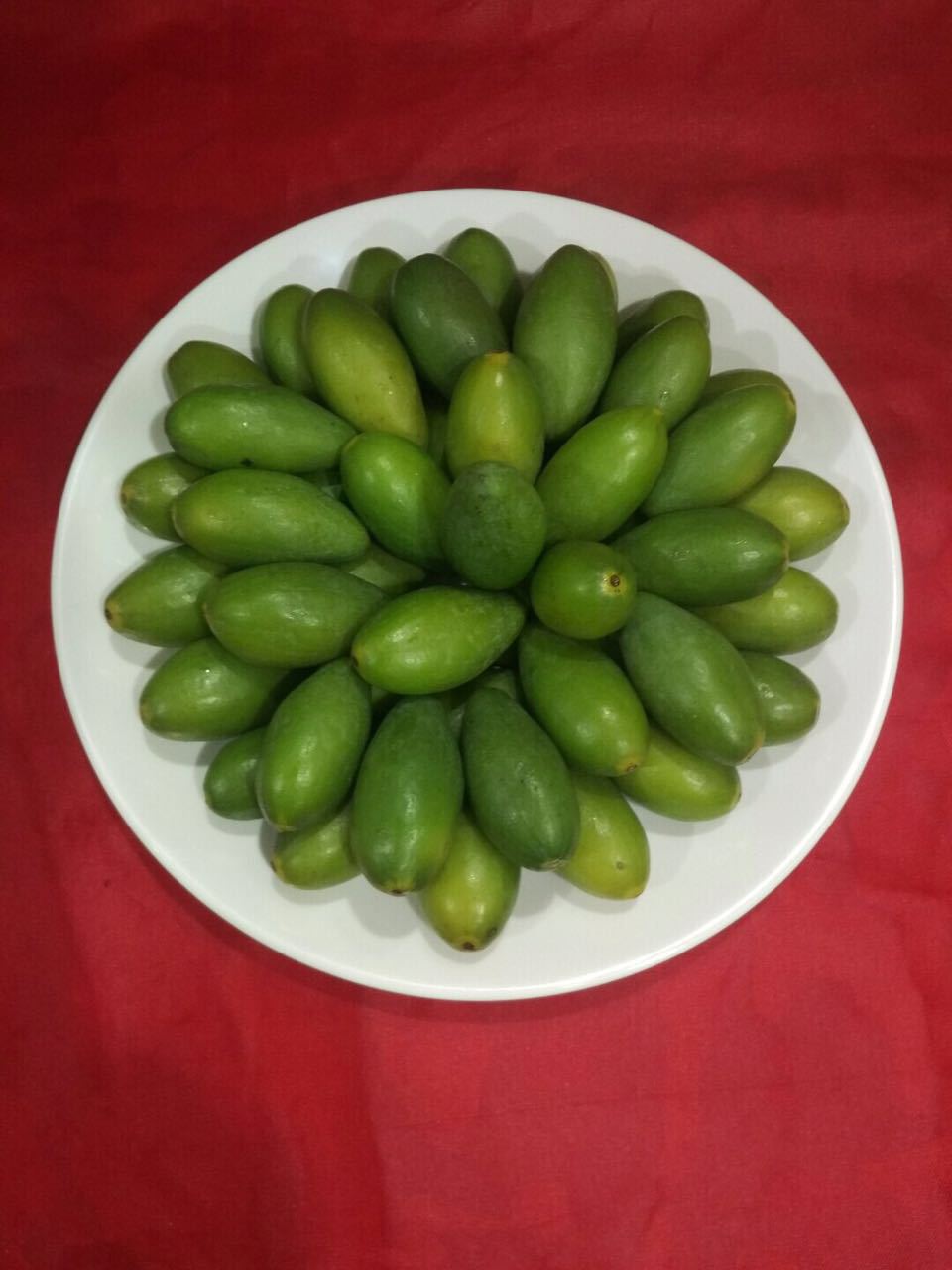 供应清脆回甘好闽清橄榄鲜食橄榄量大价优