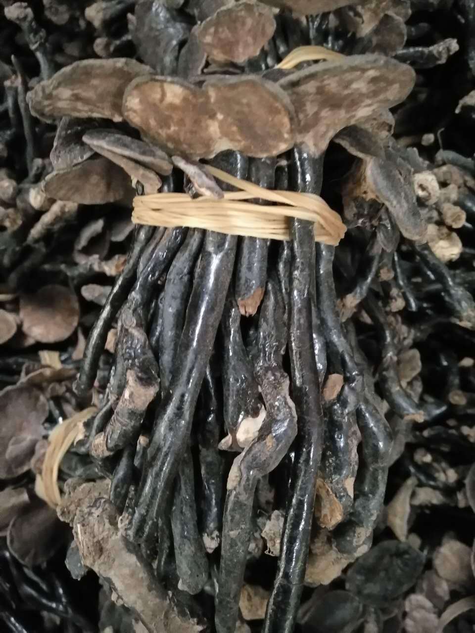 竹灵芝深山竹灵芝 产地大货供应 干度好量大从优250克/件-阿里巴巴
