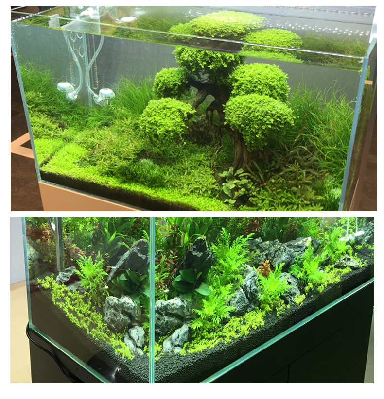 水草泥 鱼缸造景 底砂底泥虾泥水草专用泥 造景土水草泥 森森