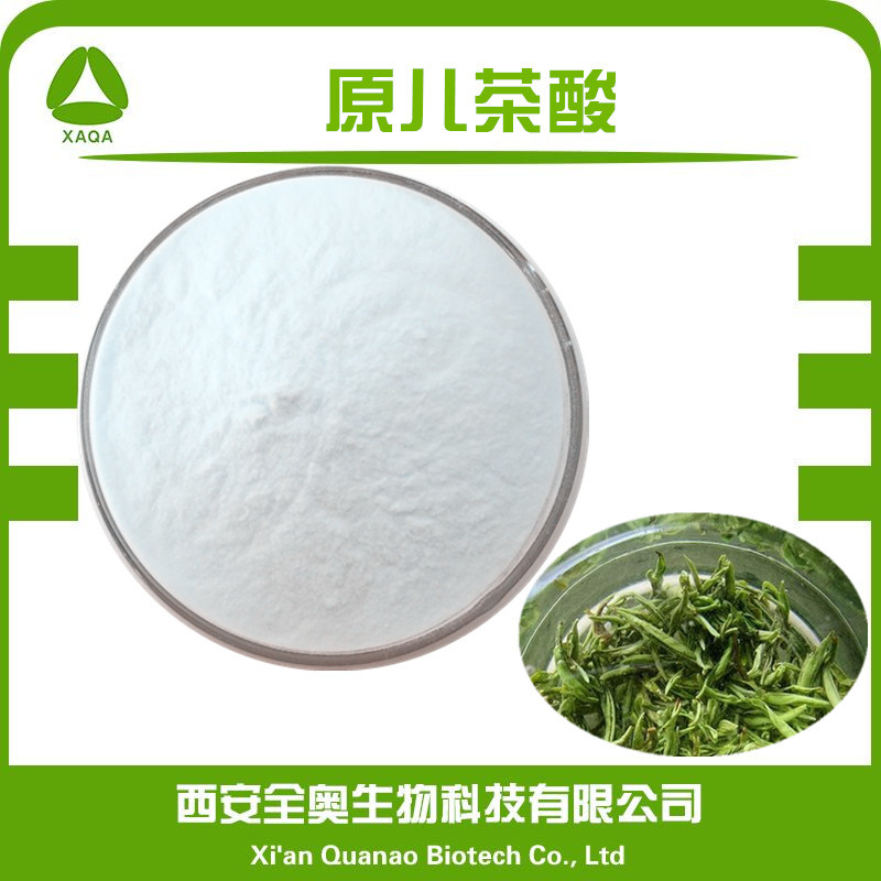 原儿茶酸98% 表儿茶素 没食子酸 绿茶提取物 egcg厂家直销 现货