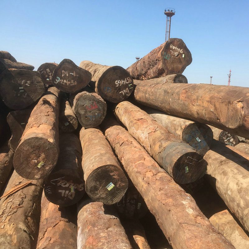 巴新进口第伦桃原木 张家港木材高硬度防腐实木木材板材家具原料