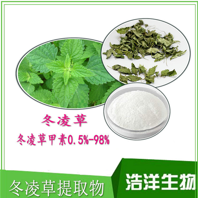 冬凌草甲素0598冬凌草提取物cas28957042