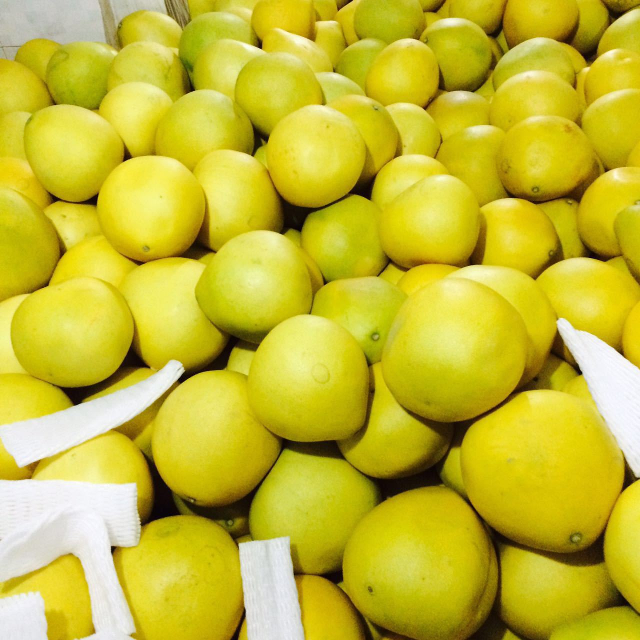 供应 现摘现发黄金蜜柚 8斤装精品两个大柚子鲜柚孕妇新鲜水.