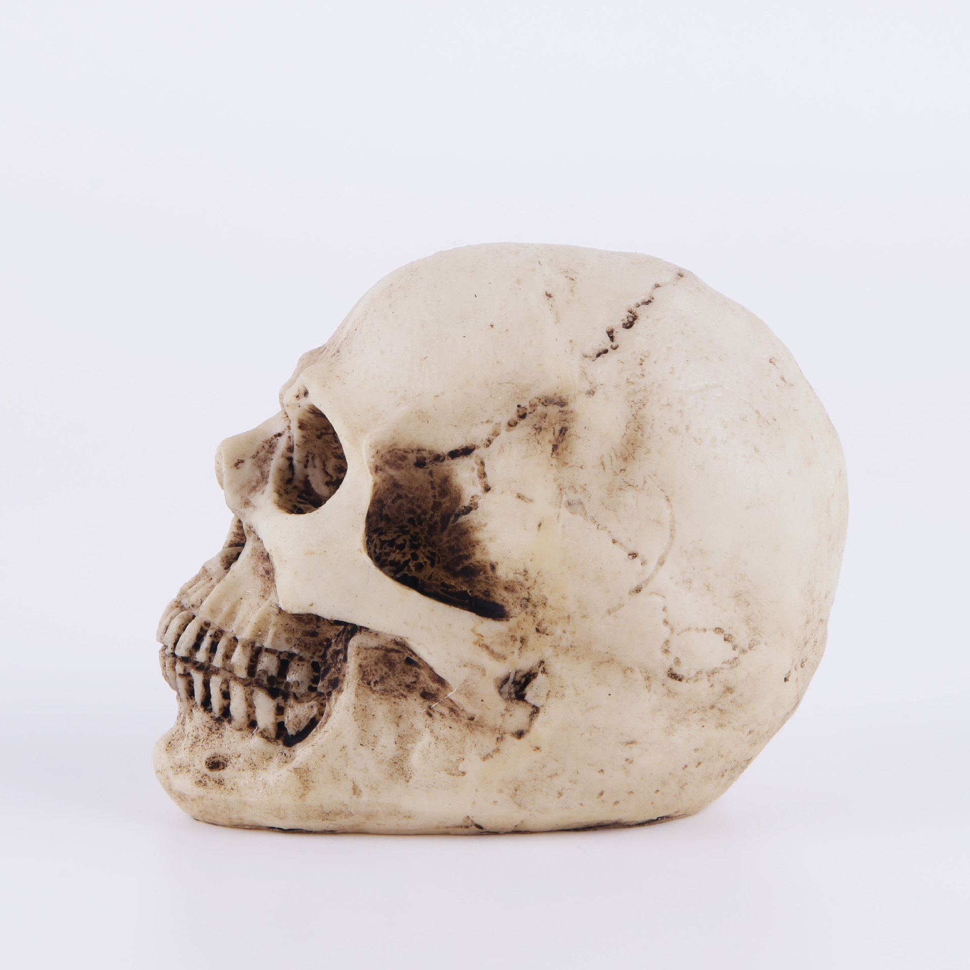 树脂骷髅头 迷你小头骨 工艺品 个性摆件 外贸供货 办公室摆件