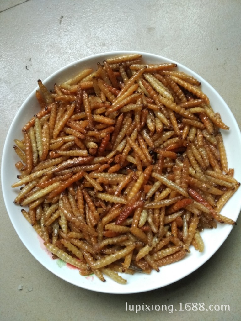 长期批发 竹虫 竹蜂 竹蛆 笋蛆 冷冻竹香虫 竹象虫 昆明银梨冷库