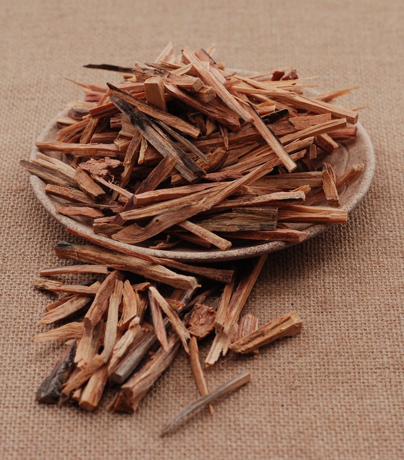 松节中药材 松郎头大货 批发松节 药都亳州全聚药材站全有