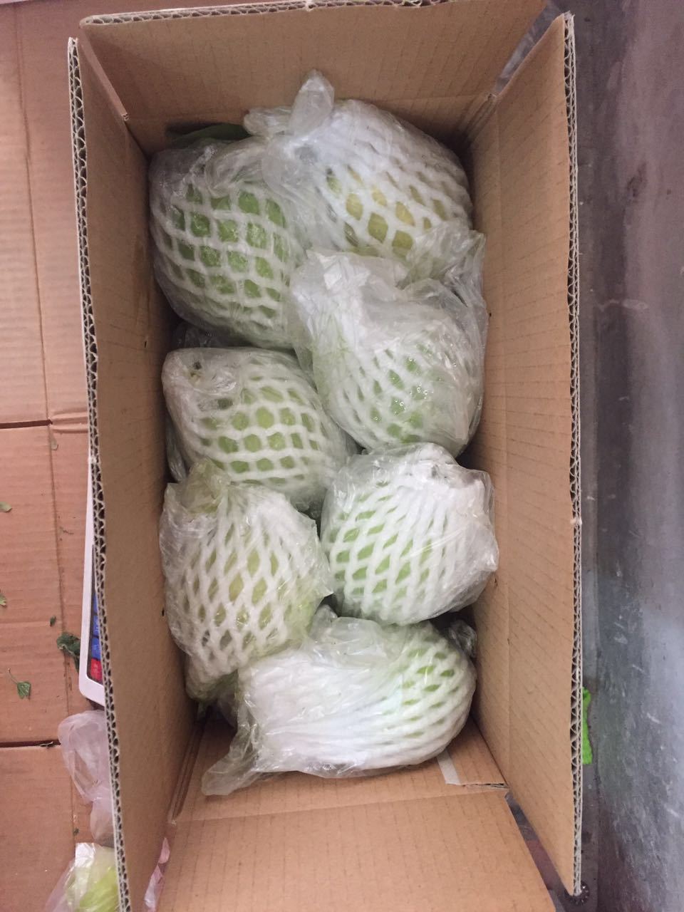 红心芭乐 台湾珍珠 番石榴果现摘现发5斤装