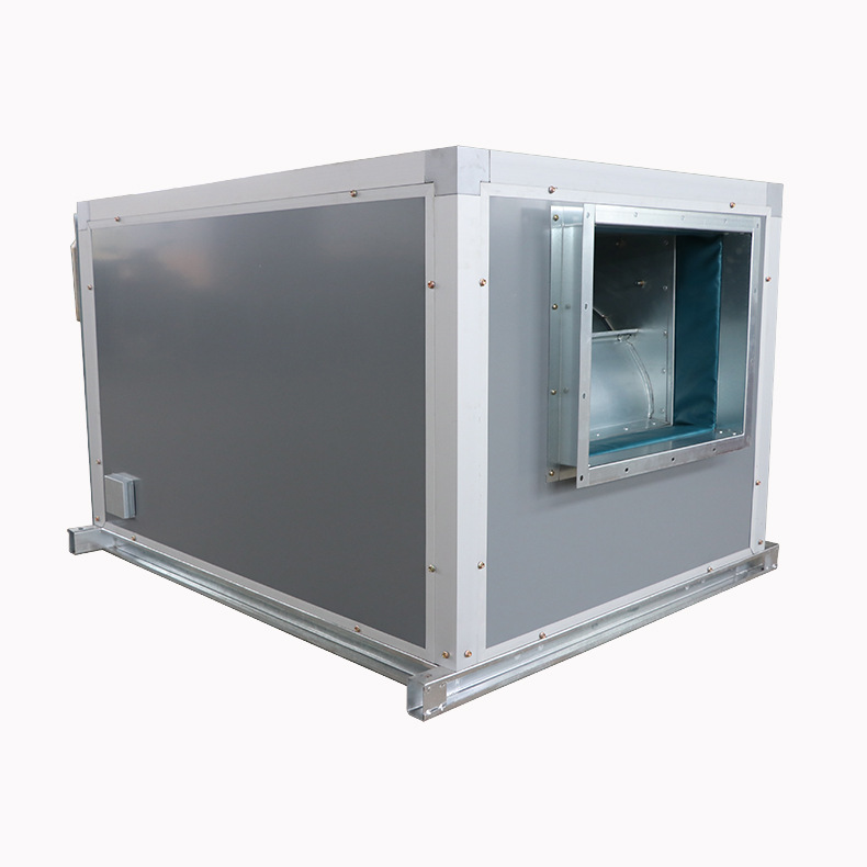 厂家生产 低噪音排烟风机箱 离心风机箱 排烟风柜 新风风柜